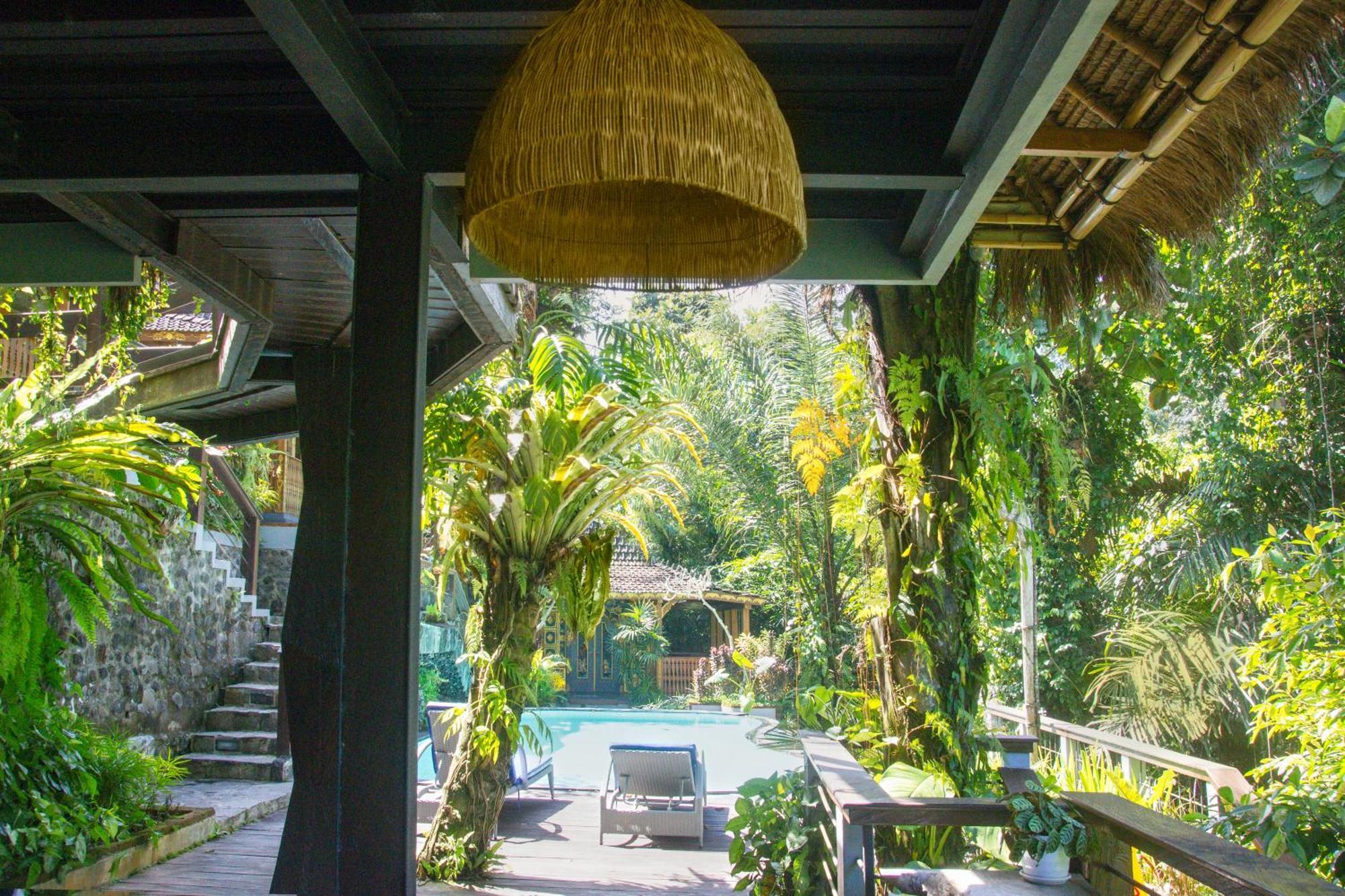 Couette-café Parvati Retreat 3*