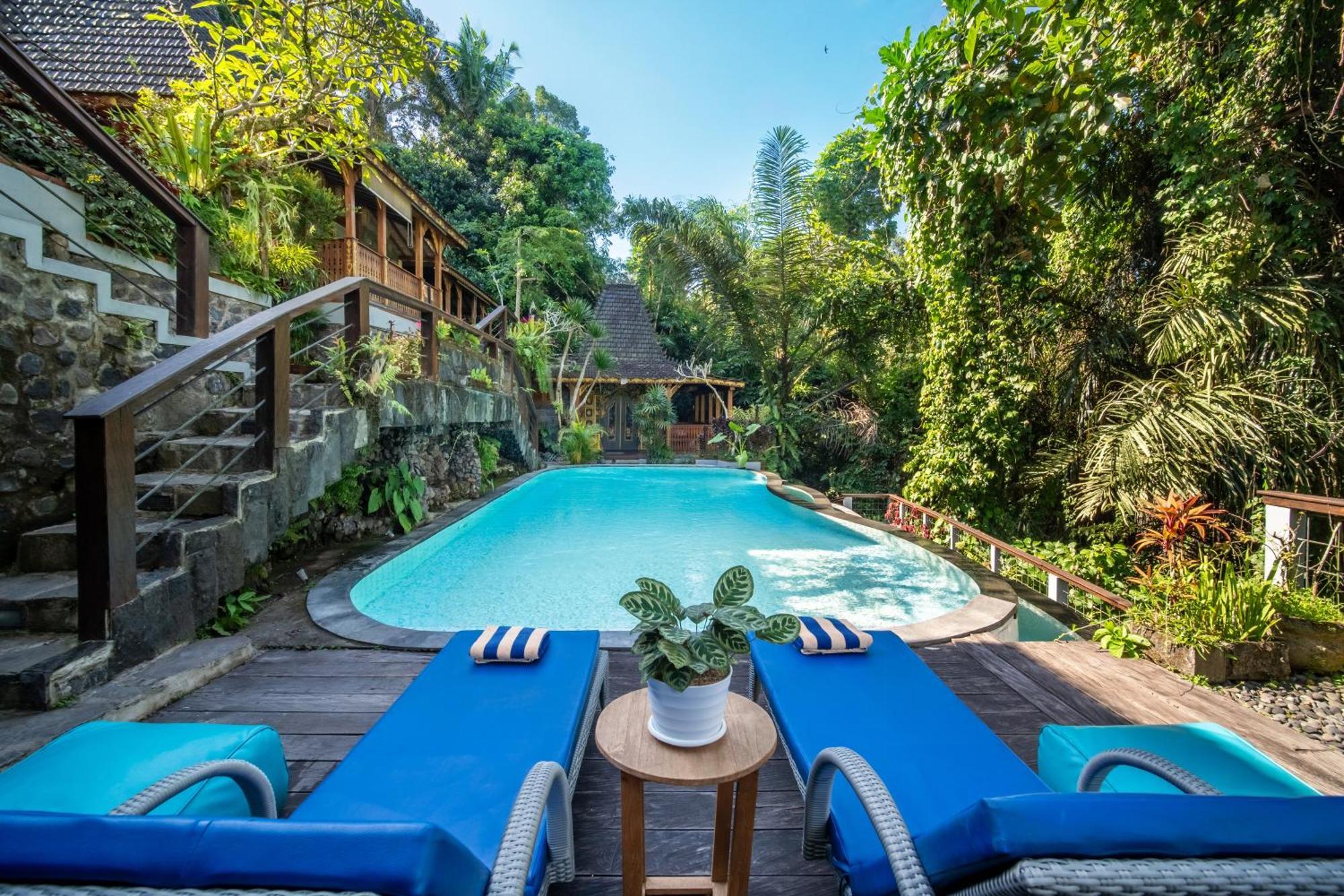 Parvati Retreat Couette-café 3*
